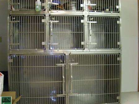 Cat Kennels